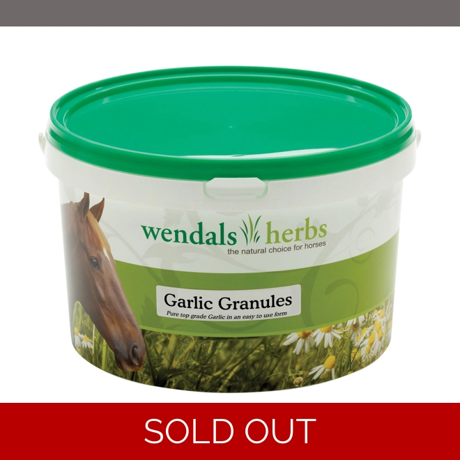 product Image for Wendals Garlic Granules - 2.5kg
